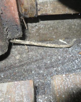 Restaurace U Svobodů, Pardubice