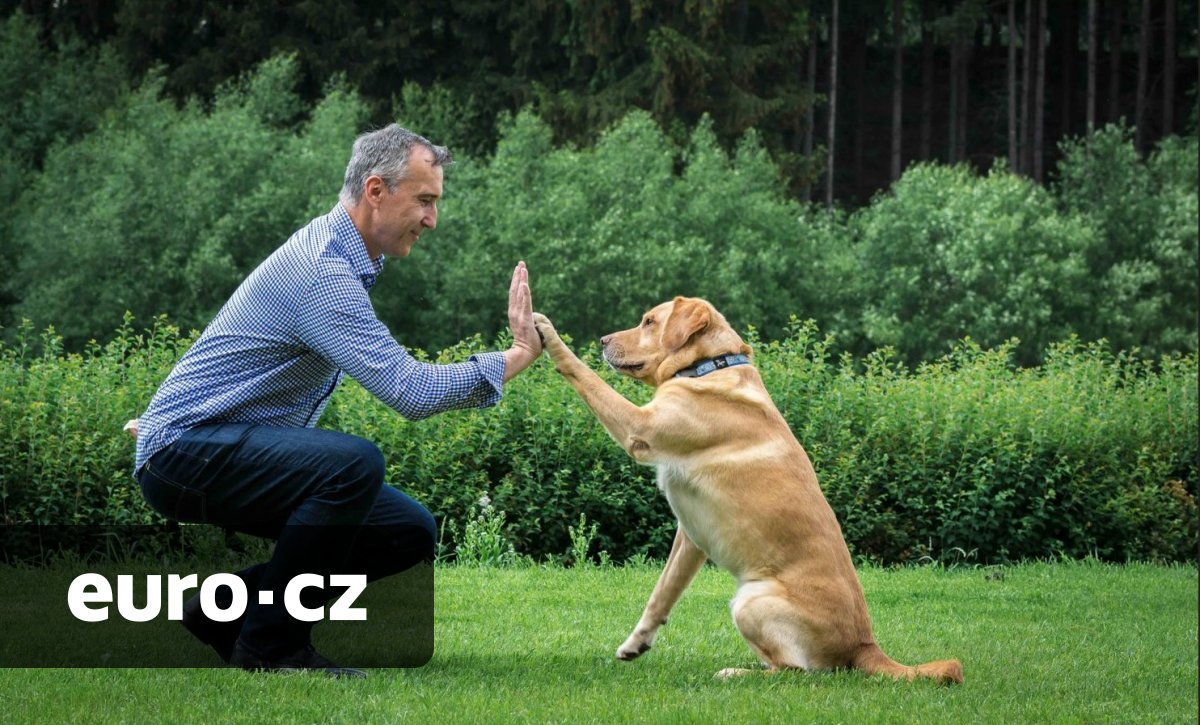 Česká rodinná firma Yoggies dobývá trh zdravých krmiv pro domácí mazlíčky. Bez chemie a s vlastním výzkumem