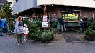 Ilustrační obrázek