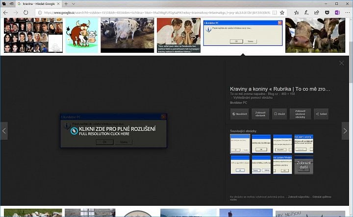Některé weby se přímému zobrazení snímků skrze Google Images brání tímto způsobem