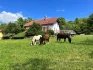 Bezděkův dům na Farmě Kačiny
