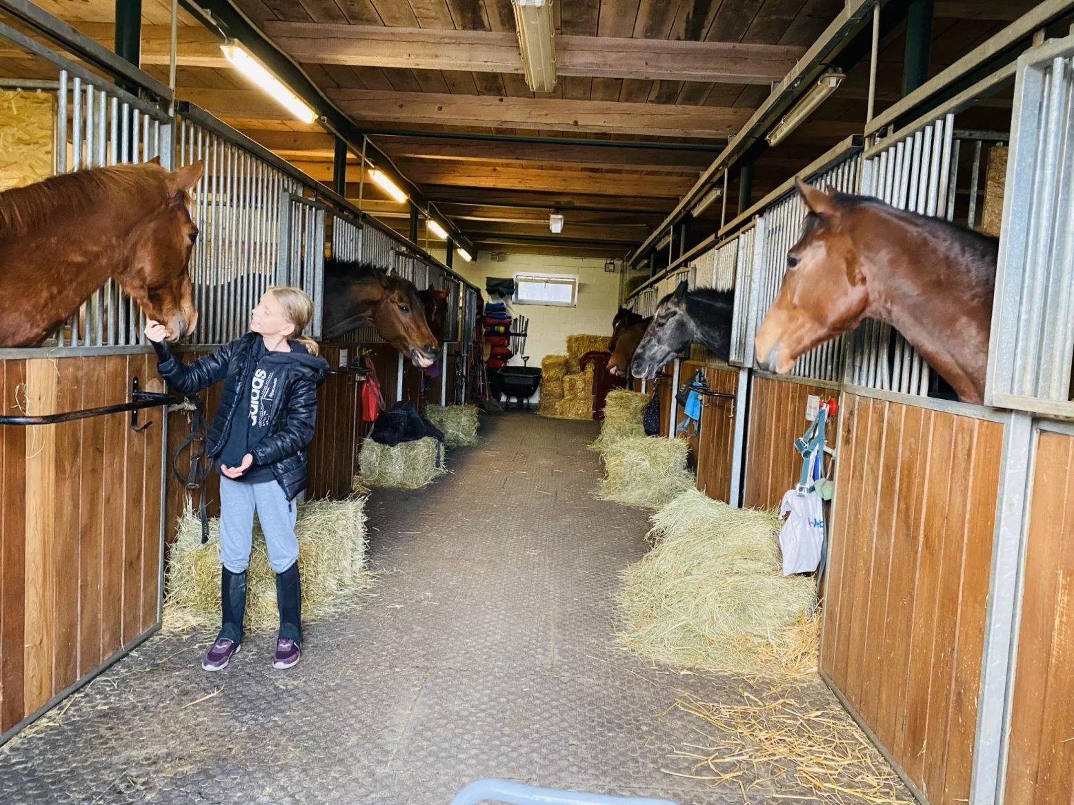 Prémiové seno z farmy