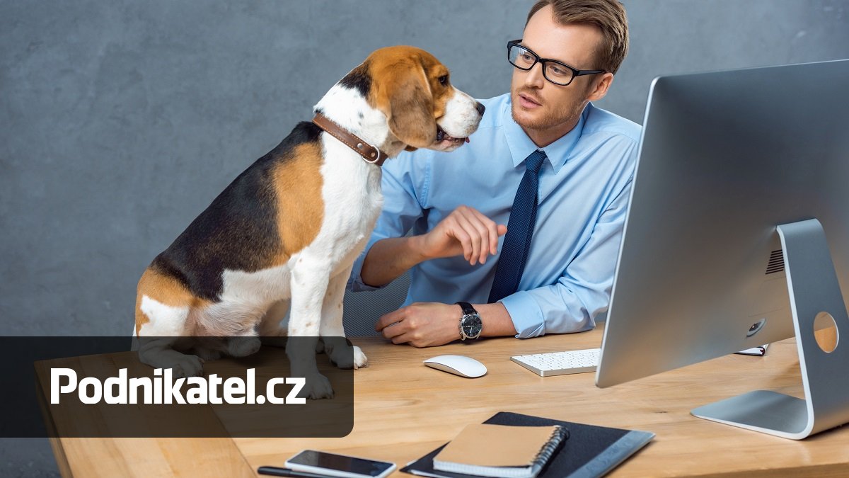 Vodí psa do práce, kde je alergik. Když nezasáhne šéf, zasáhne hygiena