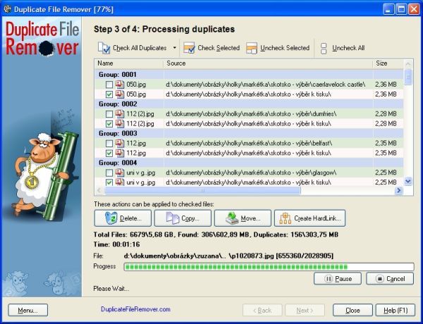 Duplicate File Remover