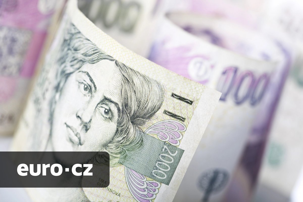 Proč Češi žijí od výplaty k výplatě? Jen o nízké gramotnosti to není, shodují se odborníci. Problém vidí i v přístupu státu