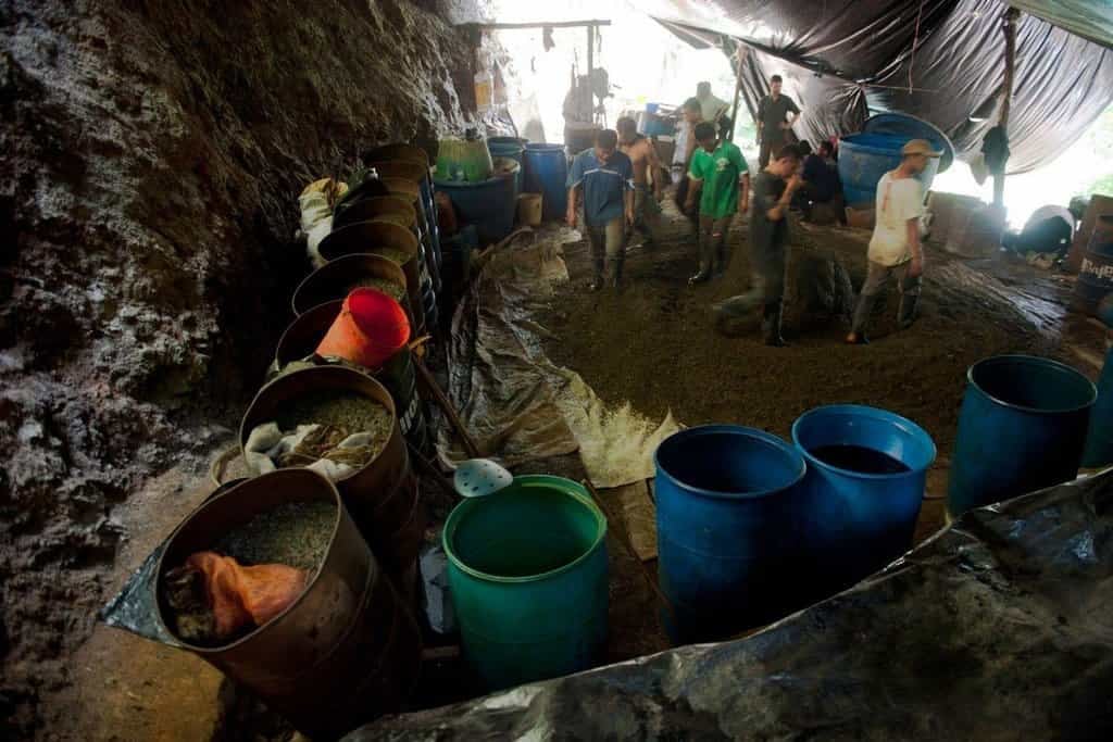 2019-05-dilema-farmc3a1c599c5af-pc49bstovat-kakao-nebo-koku-3.jp