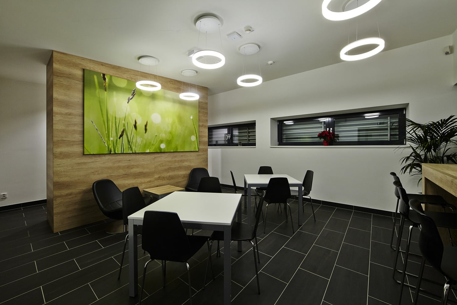 Pracovní zázemí Lidlu