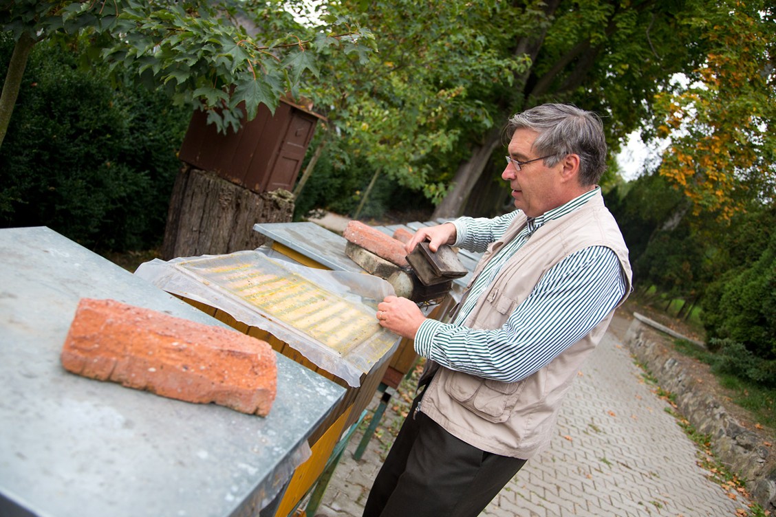 Včelí království za Prahou