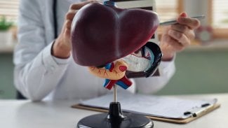 Náhledový obrázek - Jak probíhá léčba rakoviny jater?