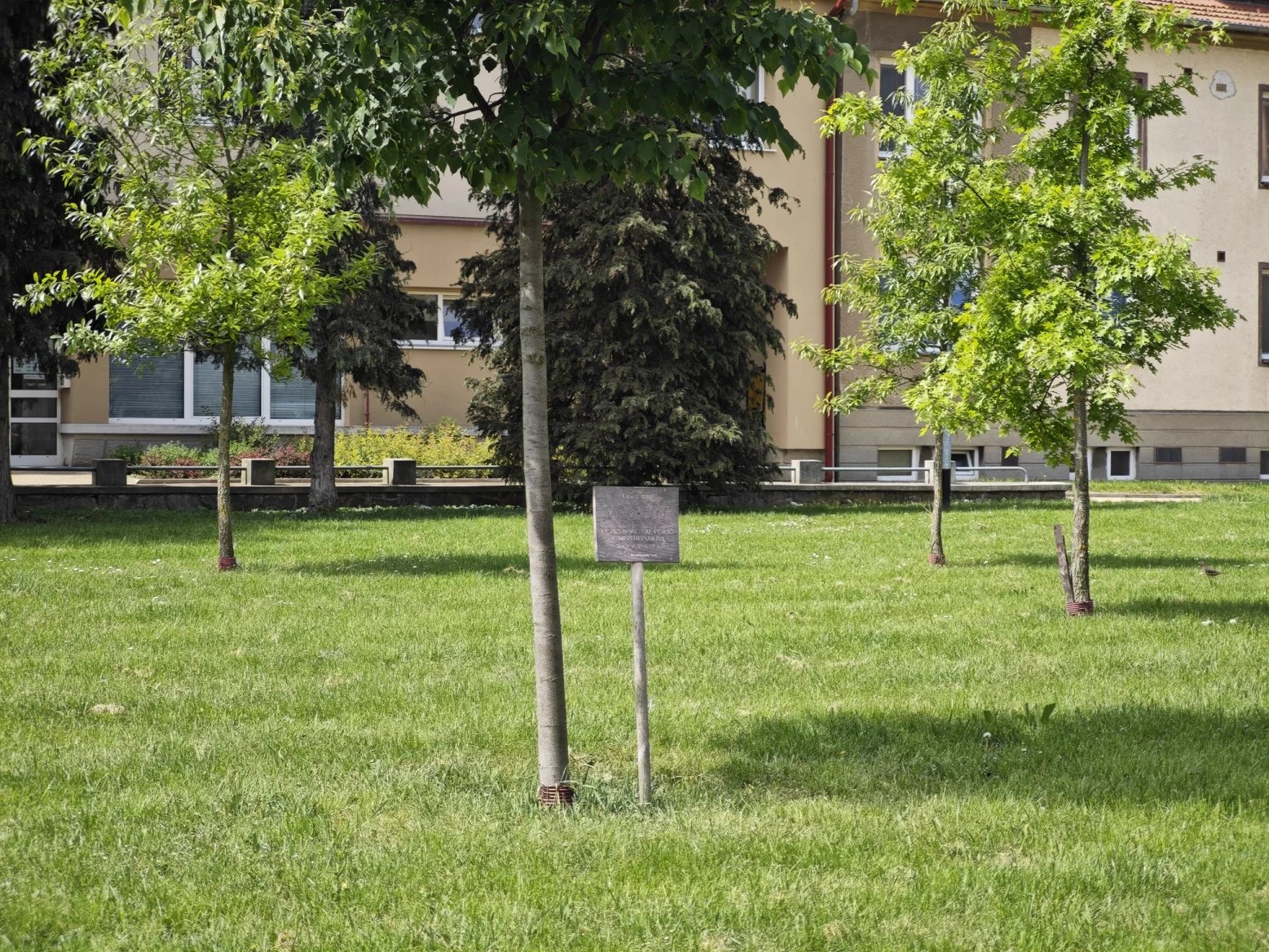 3,2násobný optický zoom