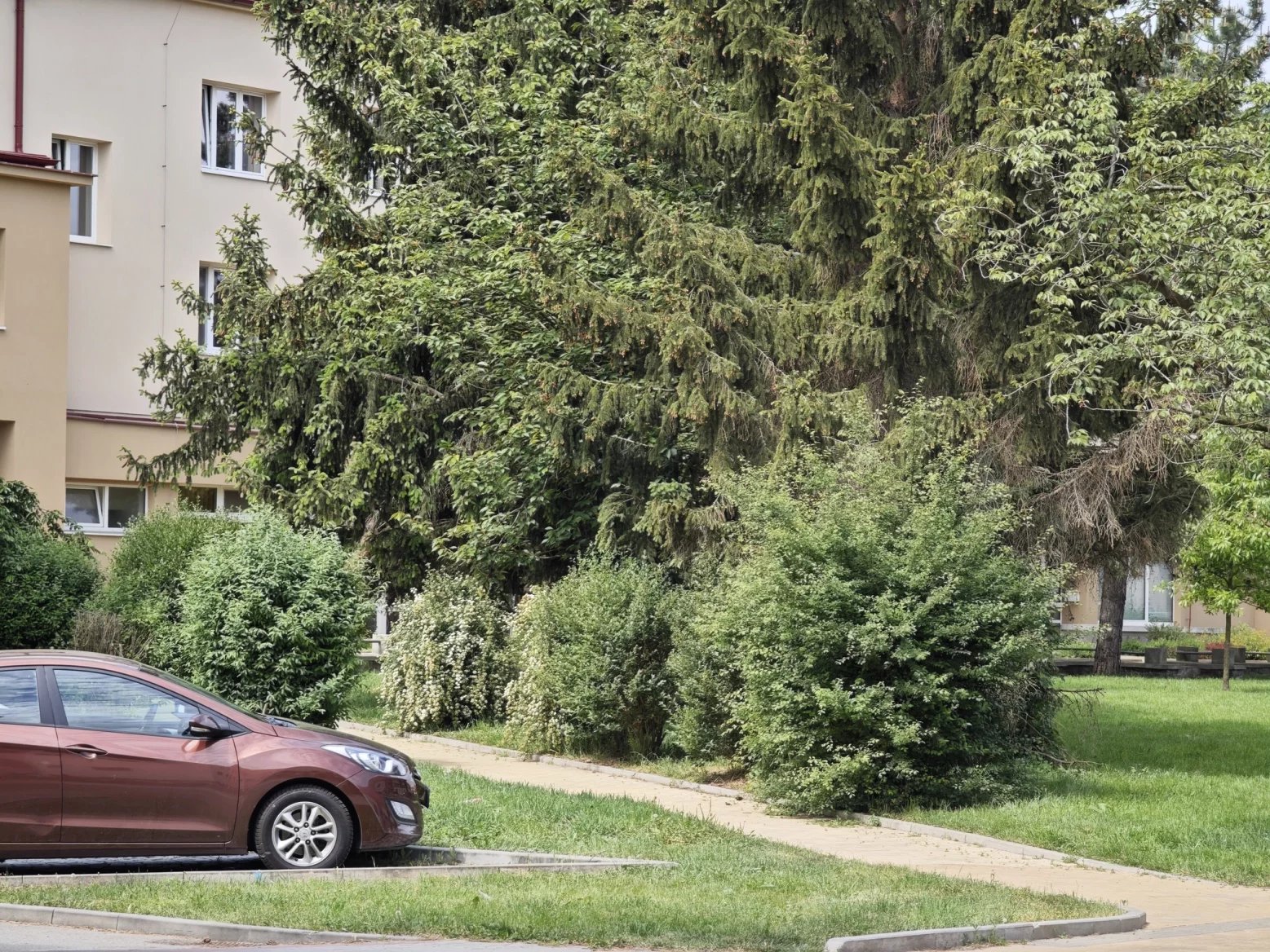 5násobný optický zoom