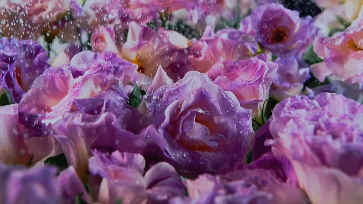 HK1 Play Bqeel - Přehrávání videa