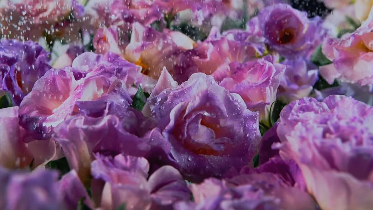 HK1 Play Bqeel - Přehrávání videa