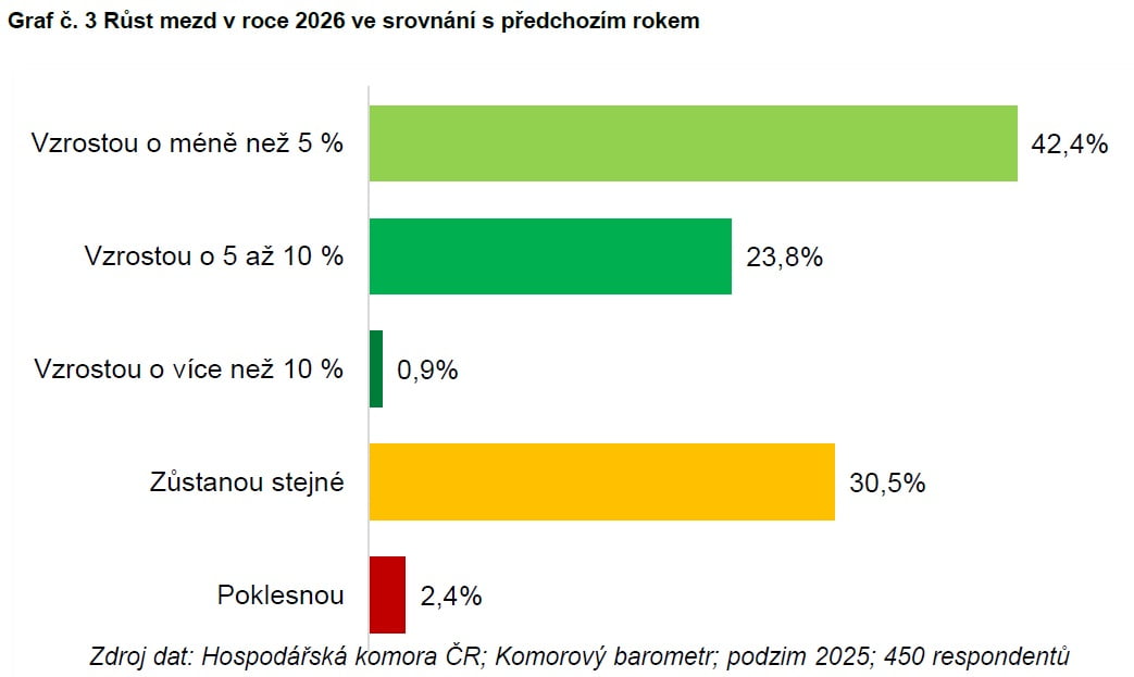 Meziroční růst mezd v roce 2026