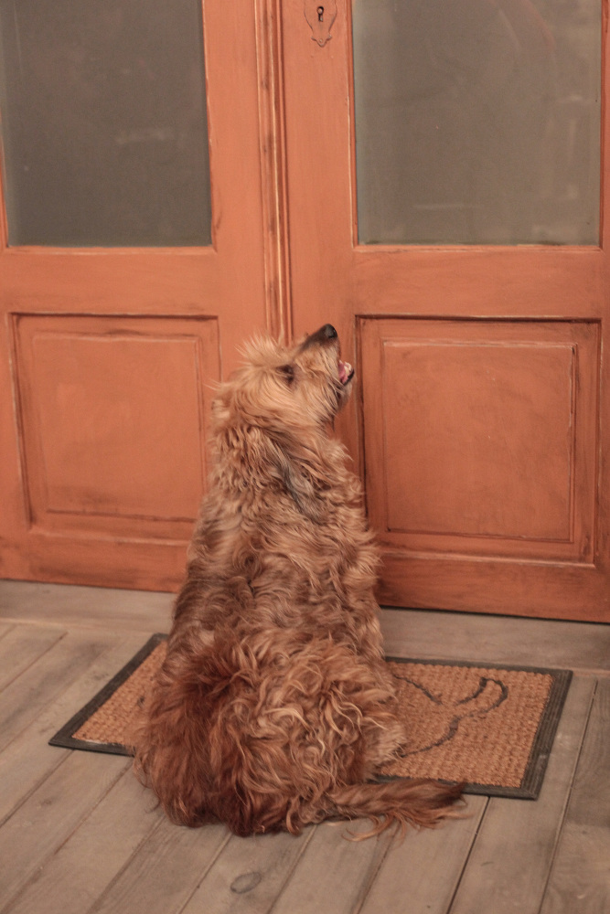 Nový česko-slovenský seriál Doktor Martin s Miroslavem Donutilem