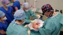 Pacient dostal od jednoho zemřelého dárce žaludek, játra, dvanáctník se slinivkou, tenké střevo a dočasně i slezinu.