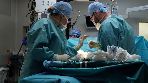 Zákrok, při kterém lékaři transplantovali všechny břišní orgány od jednoho dárce, ale ponechali již dříve voperovanou břišní stěnu od jiného dárce, ve světě dosud nikdo neprovedl.