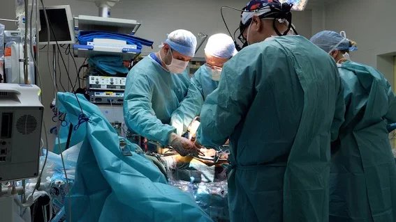 Operace byla technicky i imunologicky velmi náročná, provedení při takto komplexní transplantaci se výrazně liší od běžné transplantace jednoho orgánu.