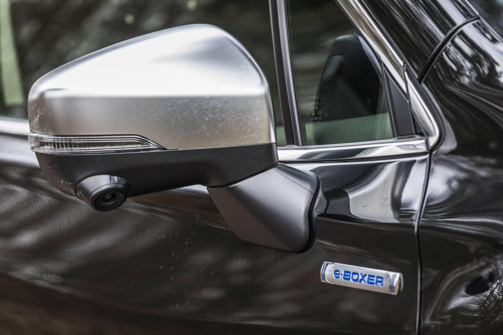 2020-04-aDMB2020_Forester-e-boxer-A7-6547.jpg