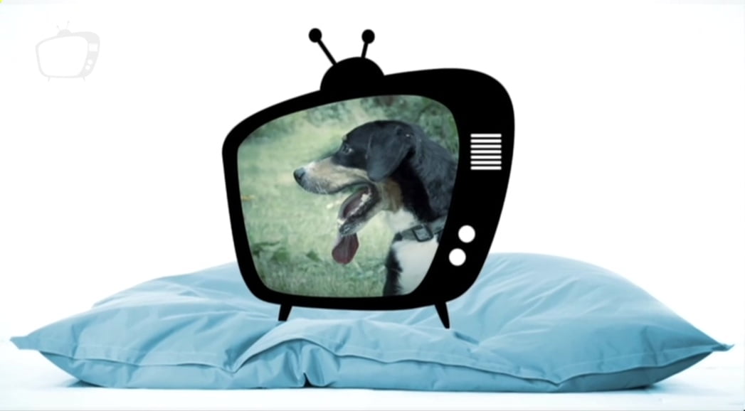 Nové satelitní FTA kanály 45. týden roku 2018