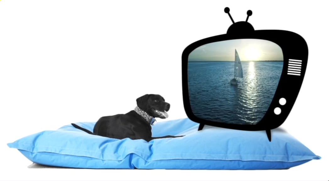 Nové satelitní FTA kanály 45. týden roku 2018