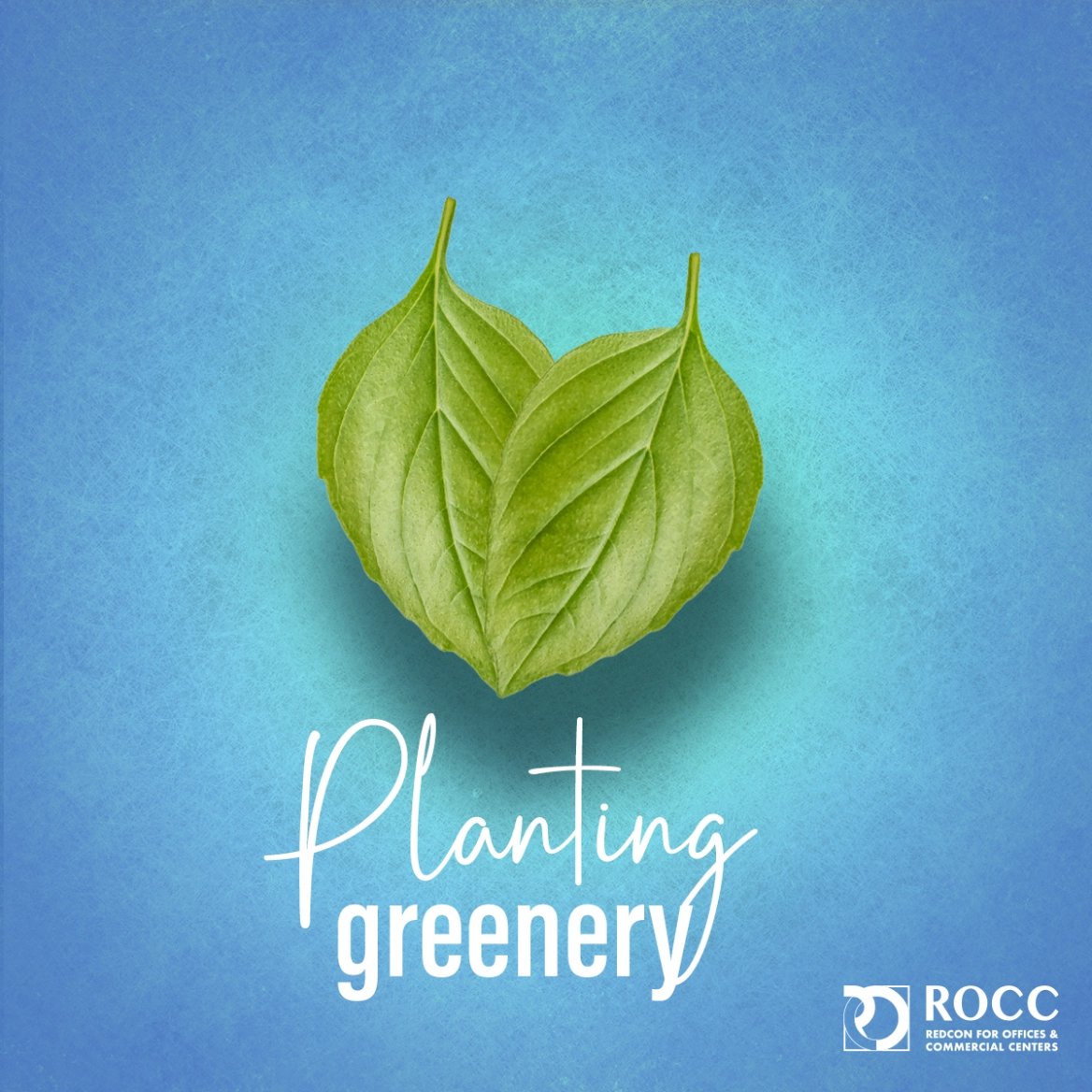 Valentýnská kampaň společnosti ROCC