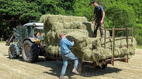 Náhledový obrázek - Konečně bez Bruselu: v Británii se rodí zdravější systém dotací pro zemědělce