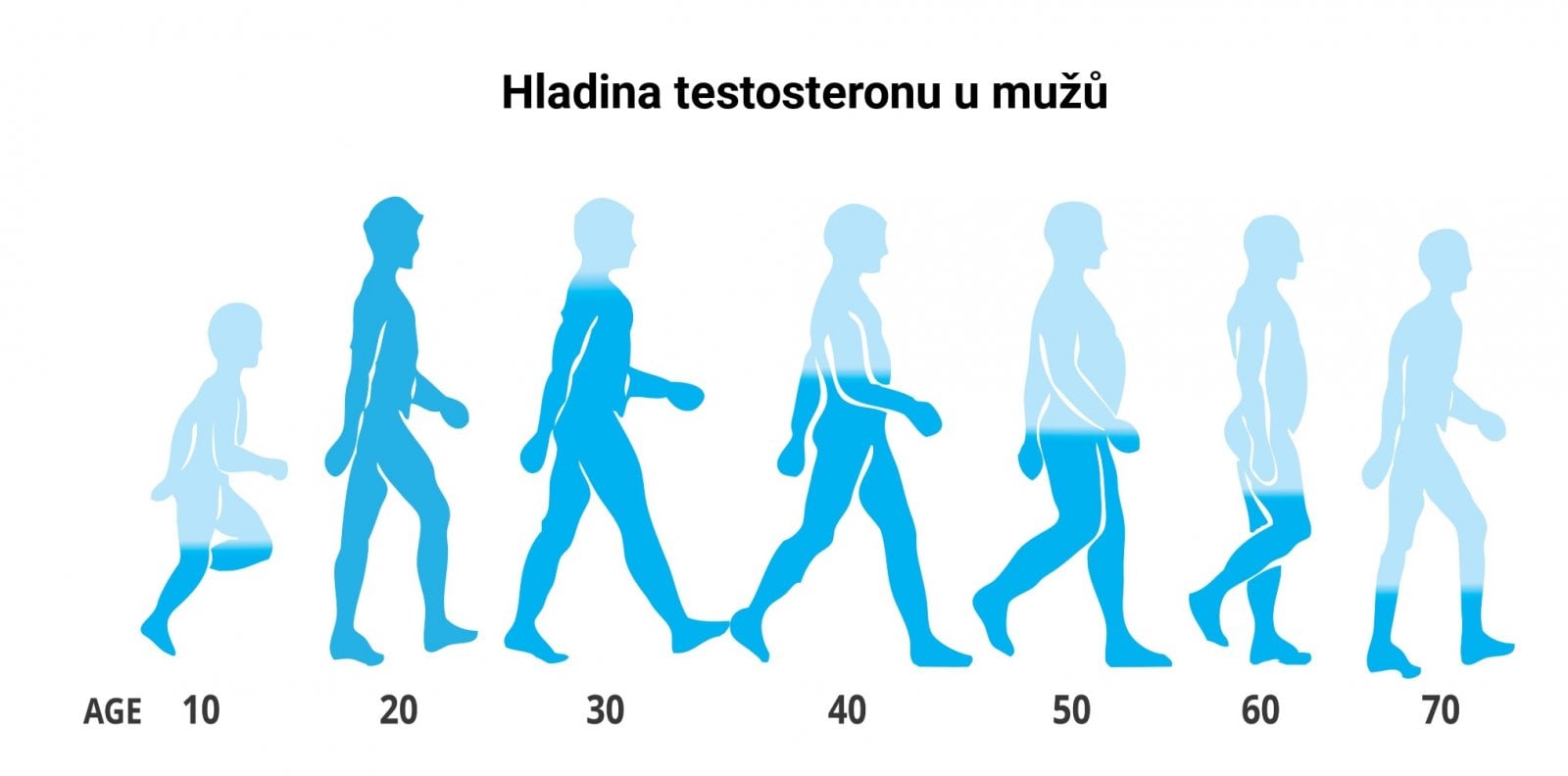 Hladina testosteronu u mužů podle věku