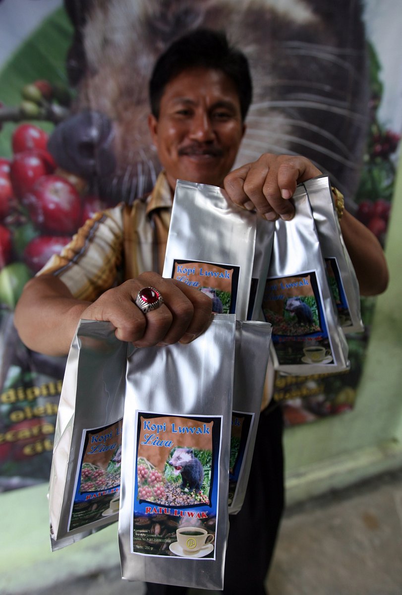 Kopi Luwak - cibetková káva
