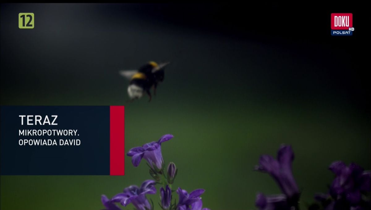 Nejzajímavější satelitní kanály v únoru 2017