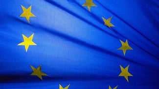 Náhledový obrázek - V pražských nemocnicích se eurovoleb zúčastní jen minimum pacientů