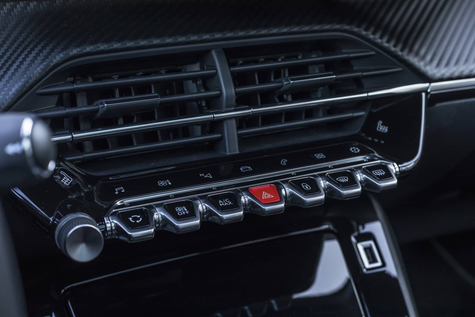 2020-01-Peugeot208083.jpg