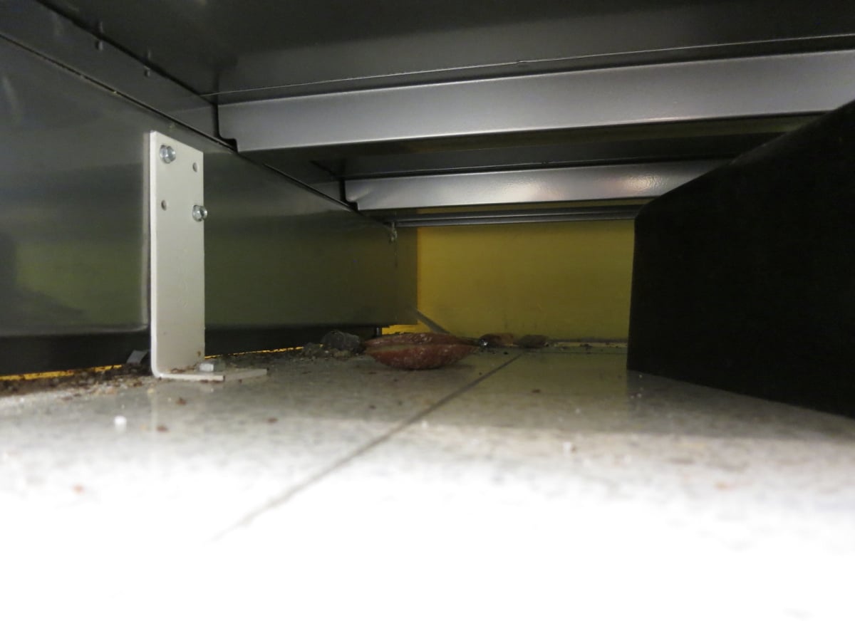 Prodejna Tesco v Aši byla plná myší a myšího trusu