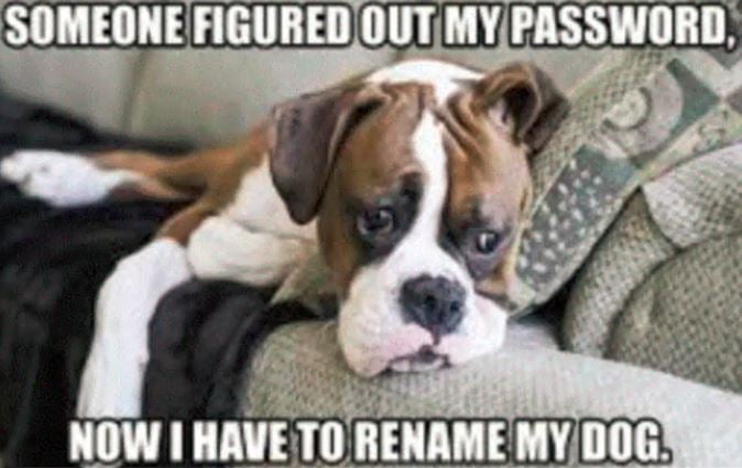 Autor: <a href="https://www.atera.com/blog/the-best-it-security-memes/">ATERA</a> Někdo zjistil moje heslo, teď musím přejmenovat svého psa.