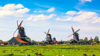 Nizozemská vesnice Zaanse Schans
