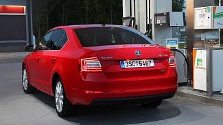 Náhledový obrázek - Škoda Octavia G-Tec na plyn je ekologicky šetrnější než Tesla Model S, spočítal ADAC