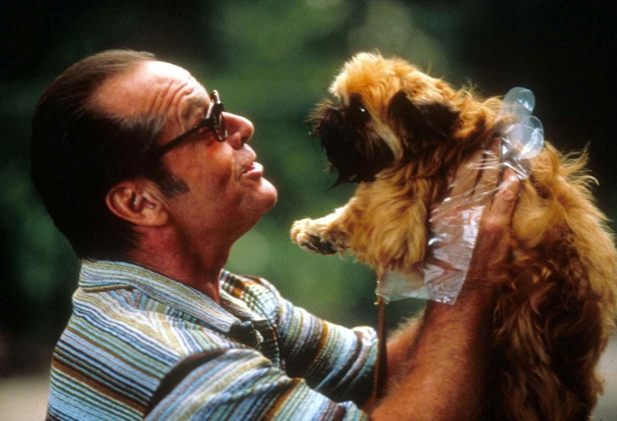 Konec roku na kanálech Skupiny Nova