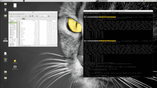 YSERVER