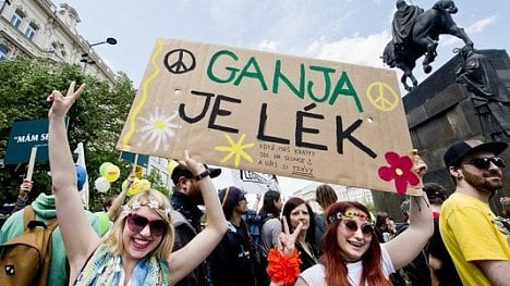 Náhledový obrázek - Miliardy v konopí. Česko se může vrátit na cestu k legalizaci