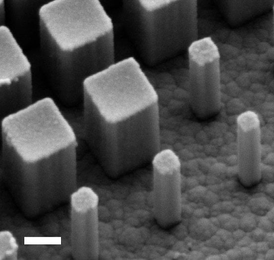 Metačočka pod elektronovým mikroskopem při pohledu z boku (škála 200 nm)