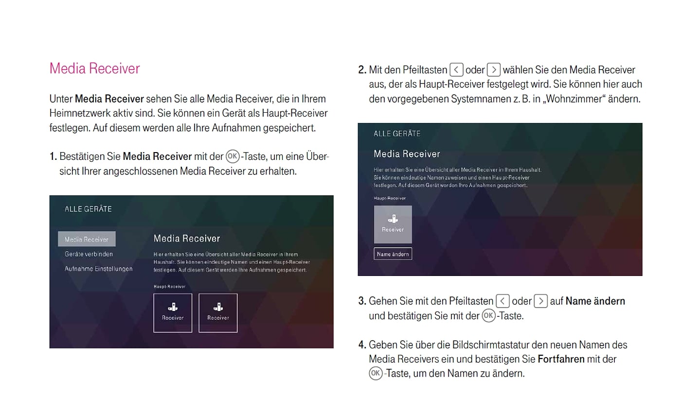 EntertainTV - nastavení (automatický formát a další)