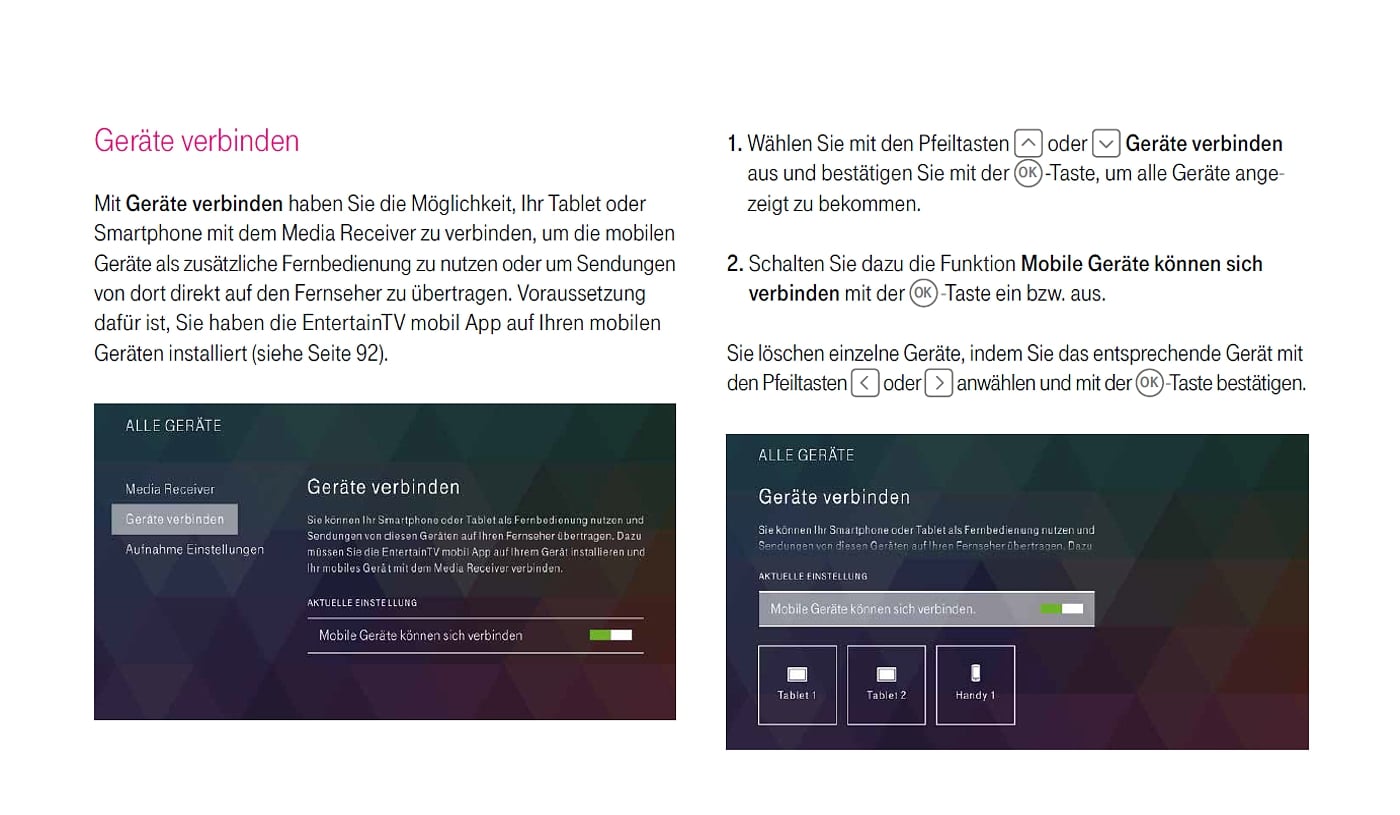 EntertainTV - nastavení (automatický formát a další)