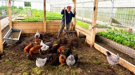 Náhledový obrázek - Zemědělci budoucnosti: francouzský pár živí „zanedbaná minifarma“