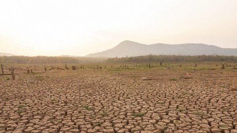 Náhledový obrázek - 5 tipů, jak vydělat na klimatické změně