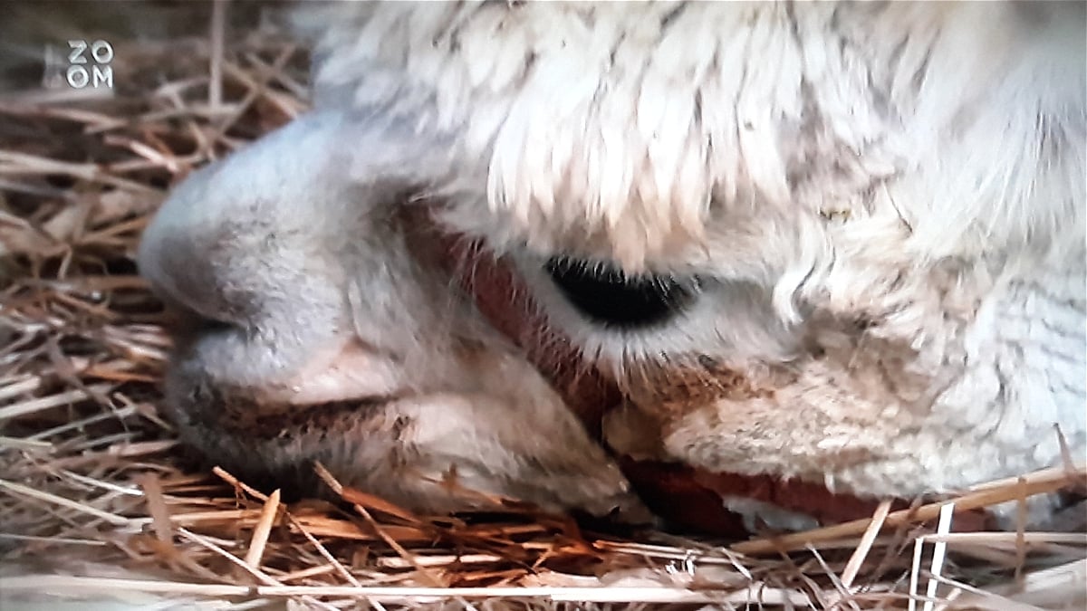 Ukázka příjmu - multiplex 3