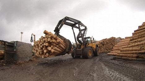 Náhledový obrázek - Babišův lesnický byznys kvete díky státním zakázkám