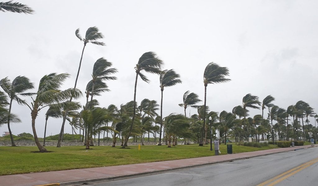 2015-01-irma-5.jpg