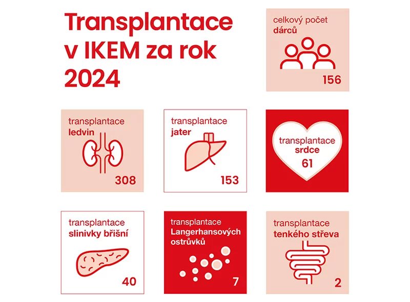 Statistika počtu transplantací v IKEM pro rok 2024