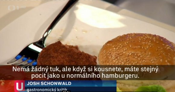 Hamburger z umělého masa