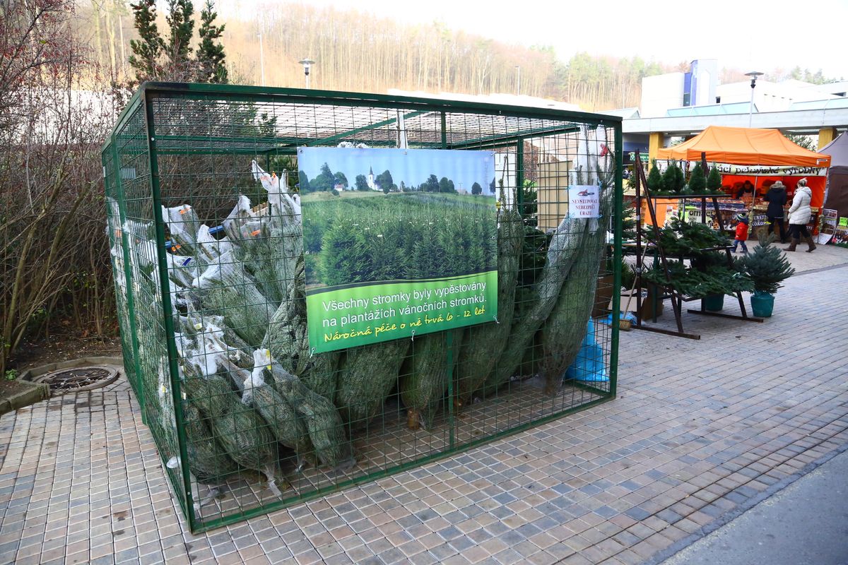 Farmářské trhy Motol: Zdraví prochází žaludkem